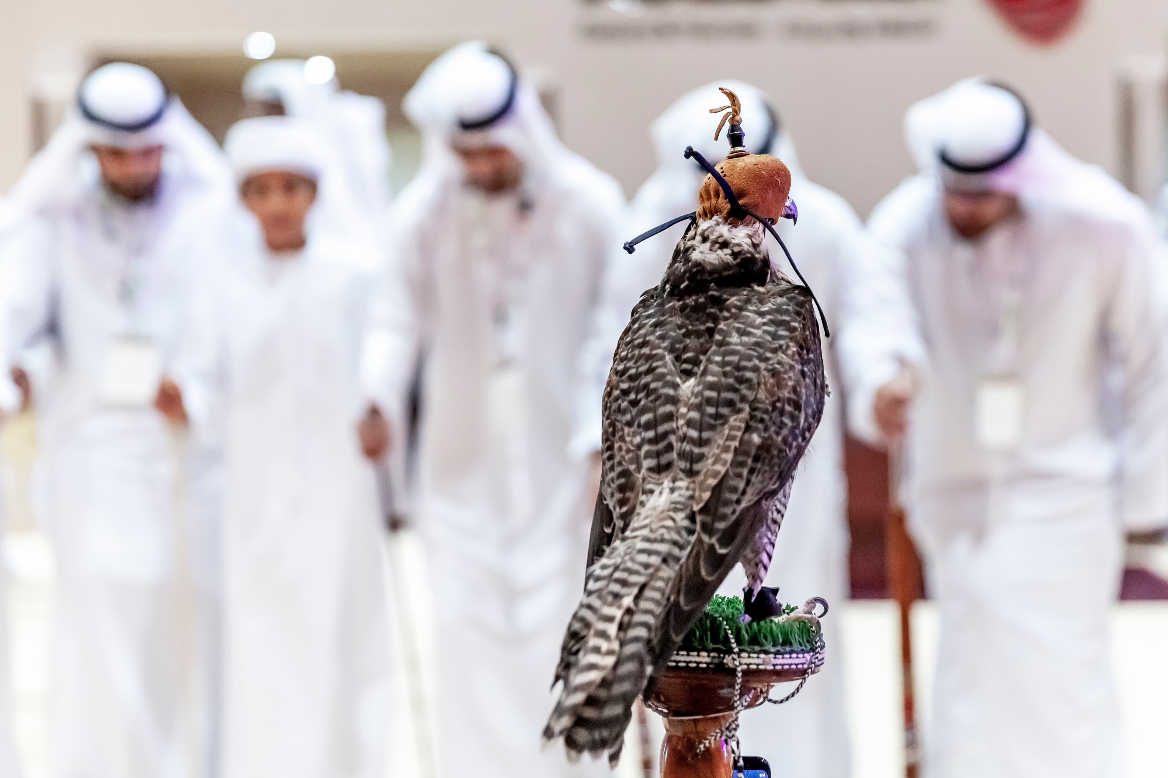 UAE National Day Celebration Entertainment Services